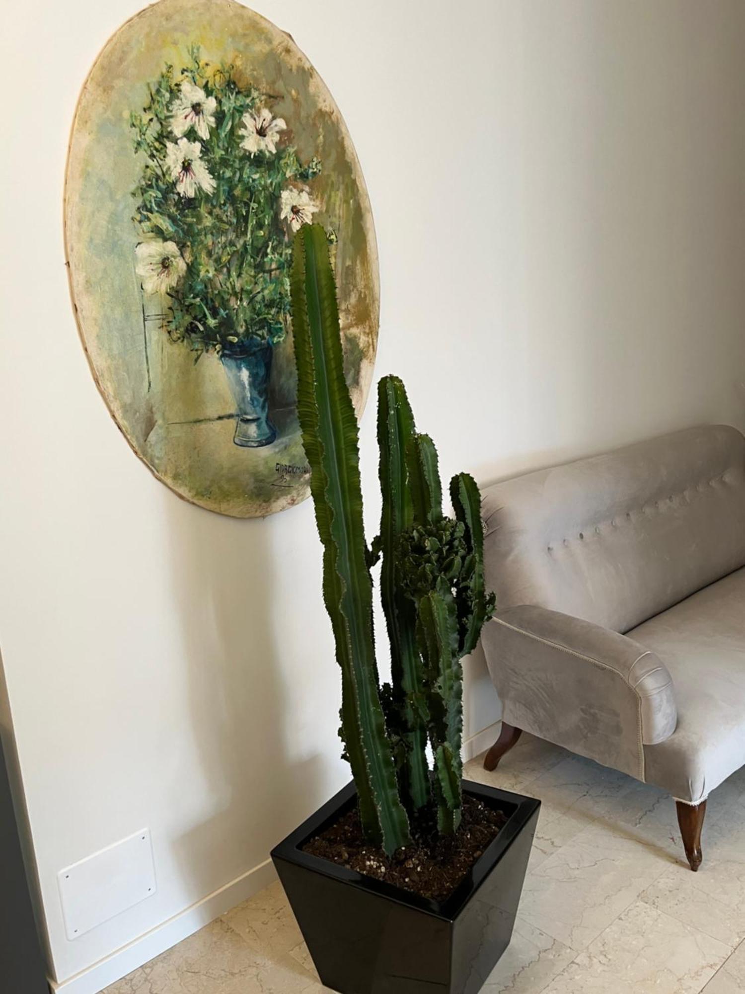 Fleur Blanche Bed and Breakfast Βερόνα Εξωτερικό φωτογραφία