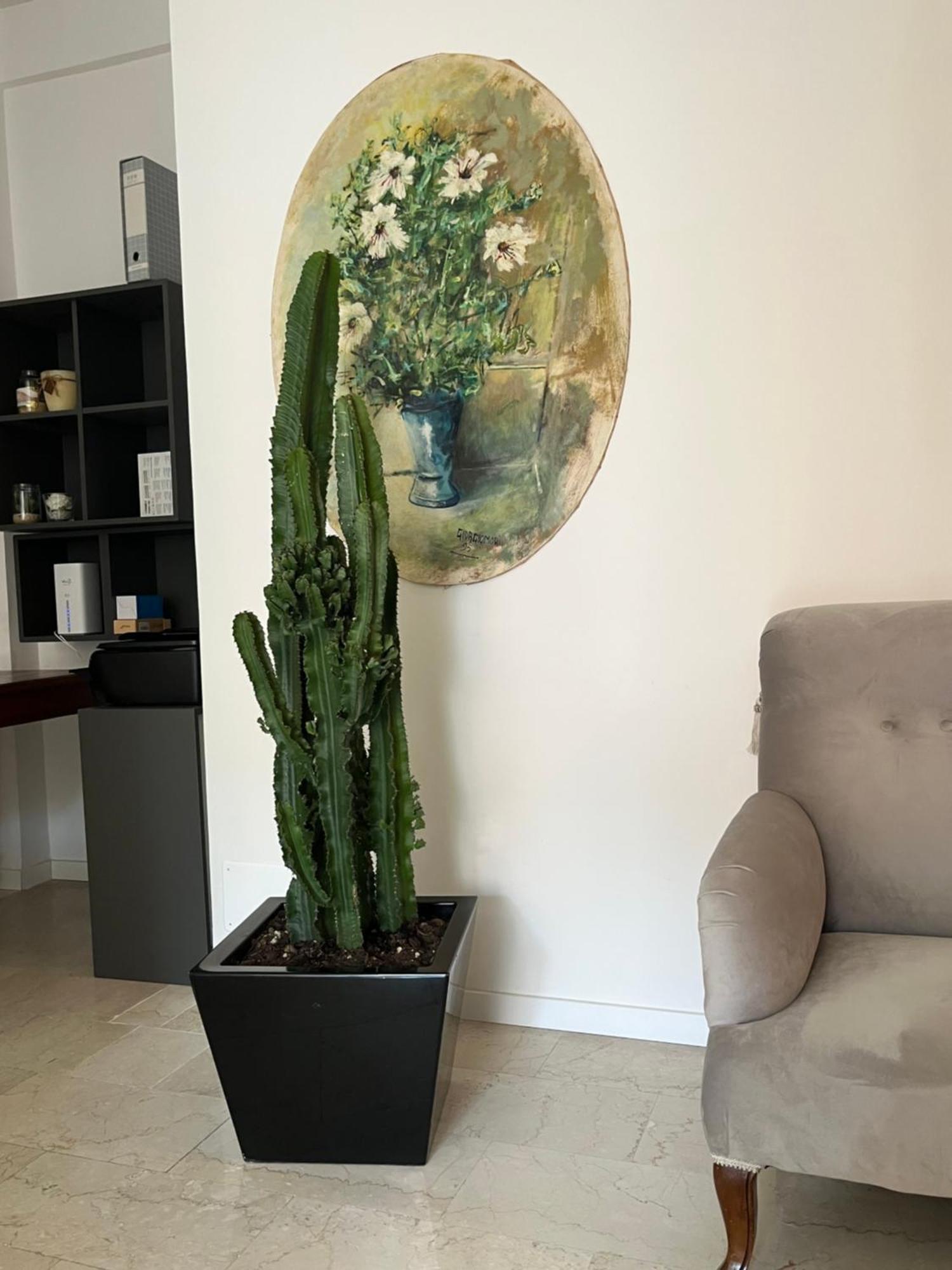 Fleur Blanche Bed and Breakfast Βερόνα Εξωτερικό φωτογραφία