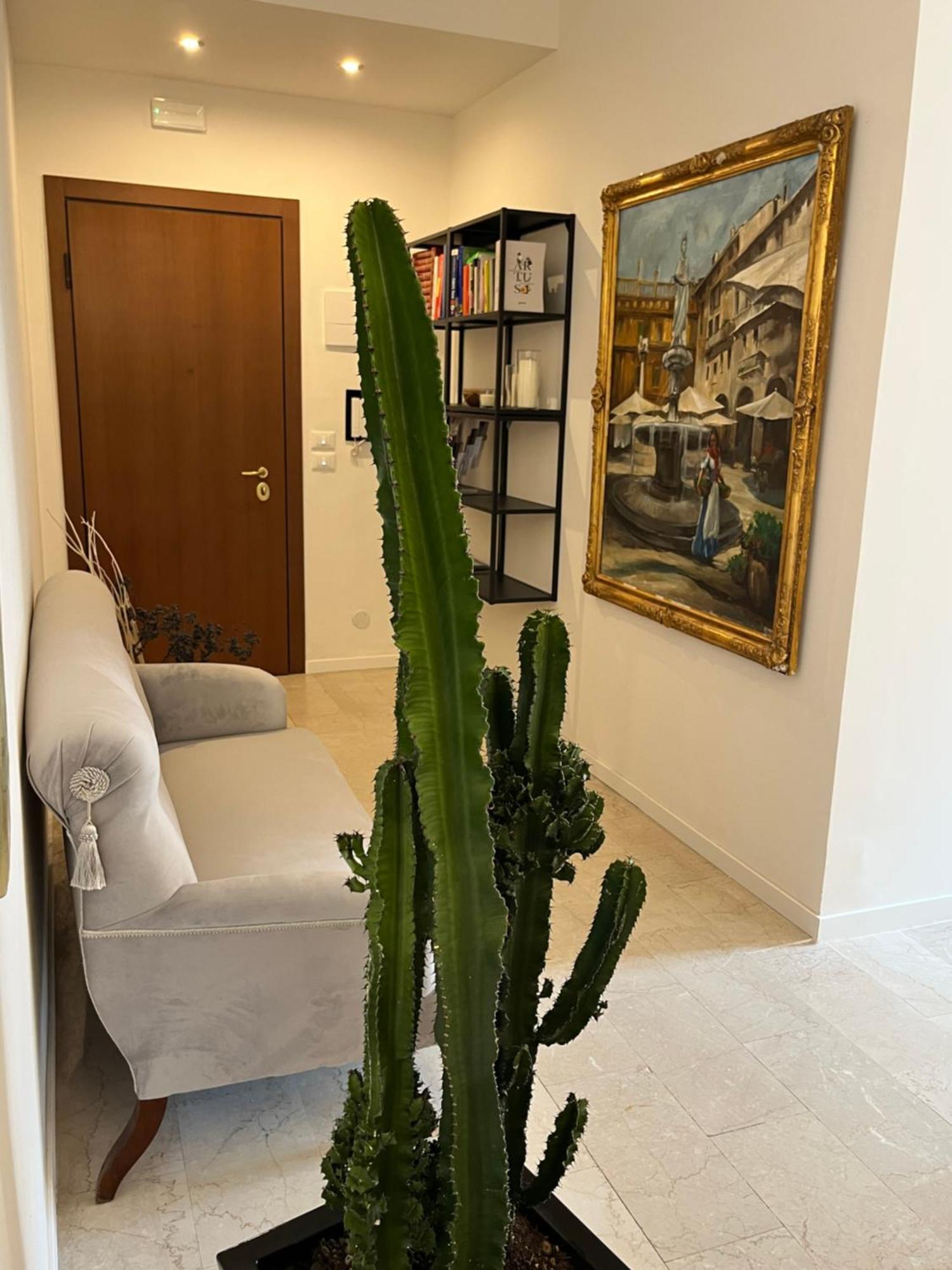 Fleur Blanche Bed and Breakfast Βερόνα Εξωτερικό φωτογραφία