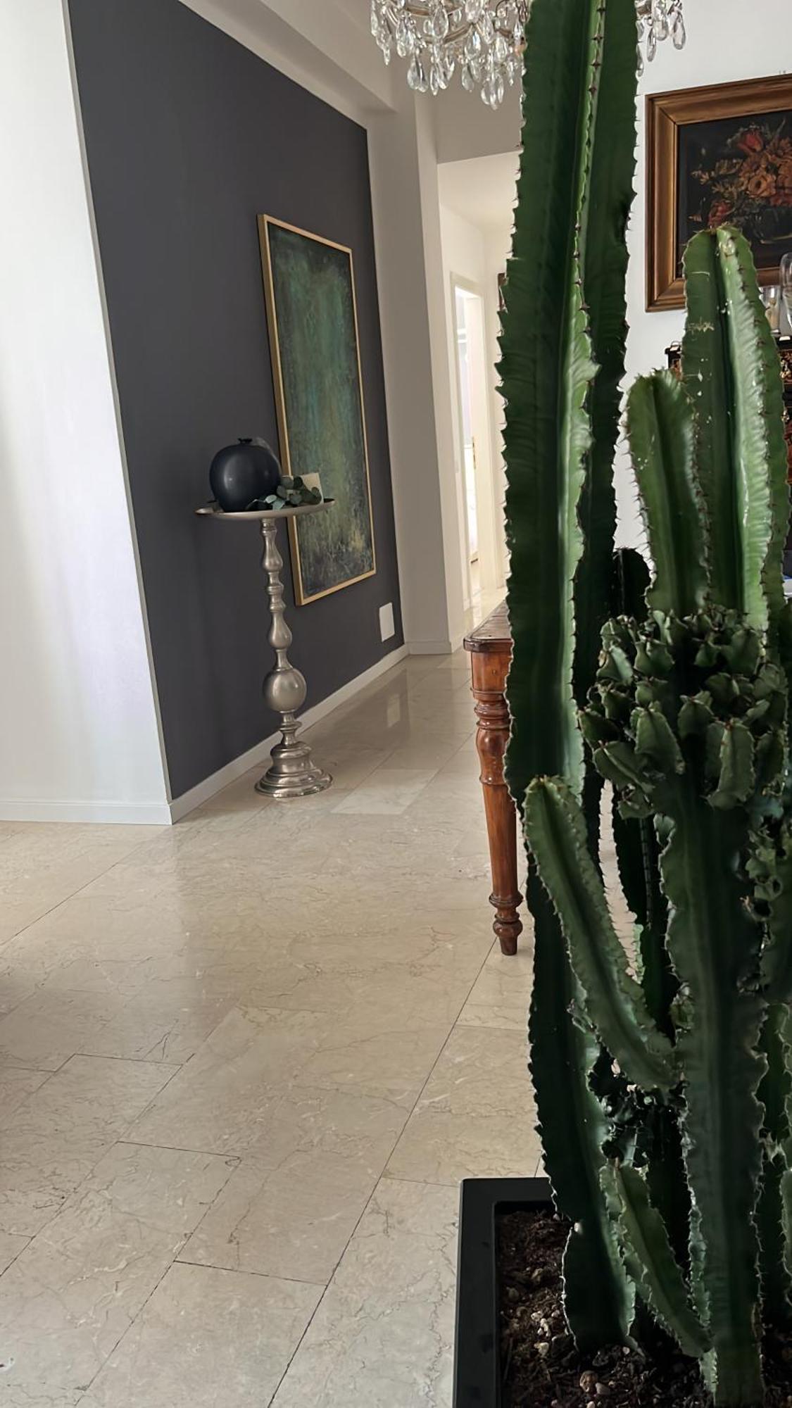 Fleur Blanche Bed and Breakfast Βερόνα Εξωτερικό φωτογραφία
